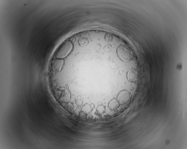 X0000103401514200810240959