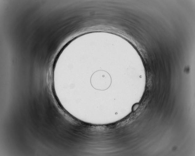 X0000103401515200810240959