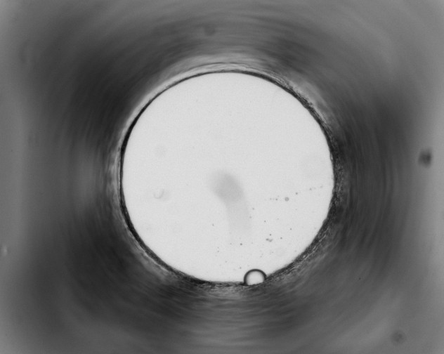 X0000103401516200810240959