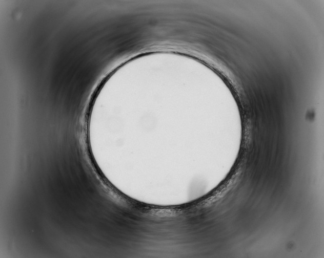 X0000103401517200810240959