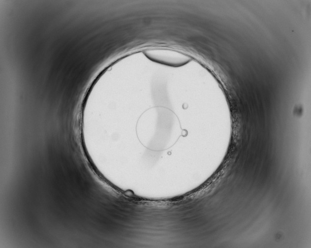 X0000103401519200810240959