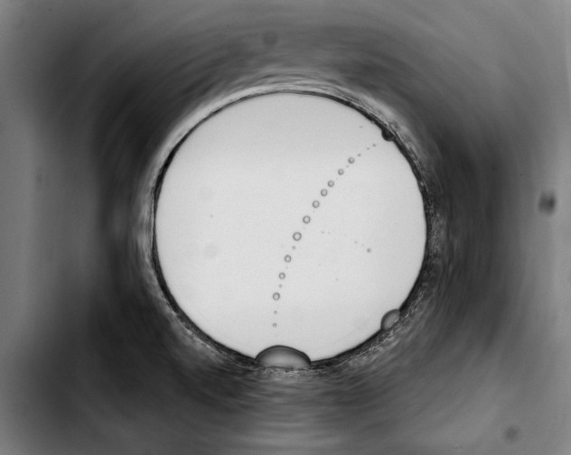 X0000103401520200810240959