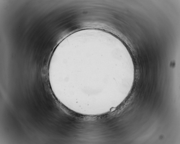 X0000103401521200810240959