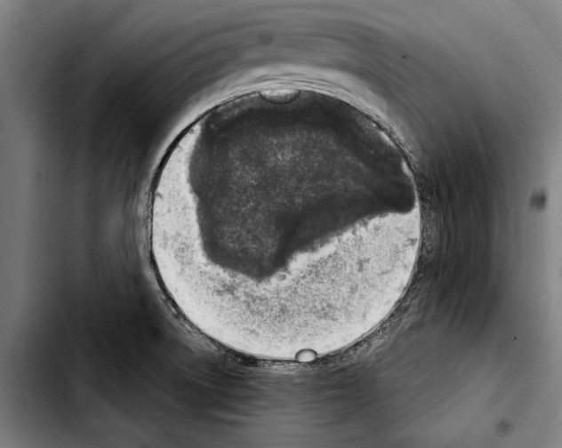 X0000103401522200810240959