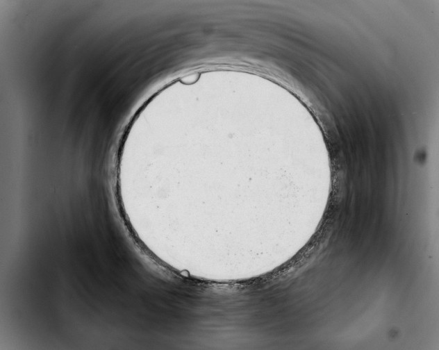 X0000103401523200810240959