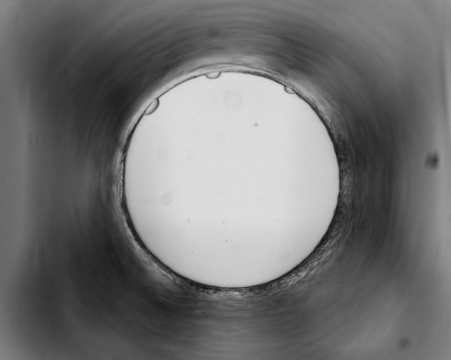 X0000103401524200810240959