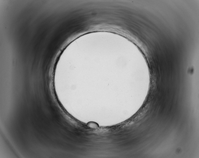 X0000103401525200810240959