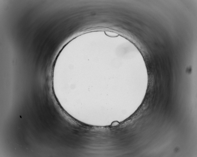 X0000103401526200810240959