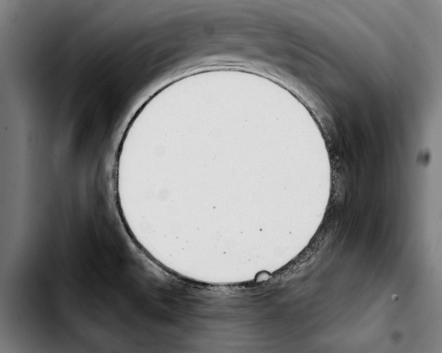 X0000103401527200810240959