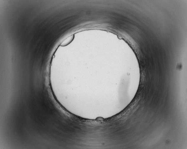 X0000103401528200810240959