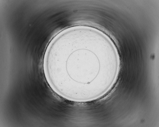 X0000103401529200810240959