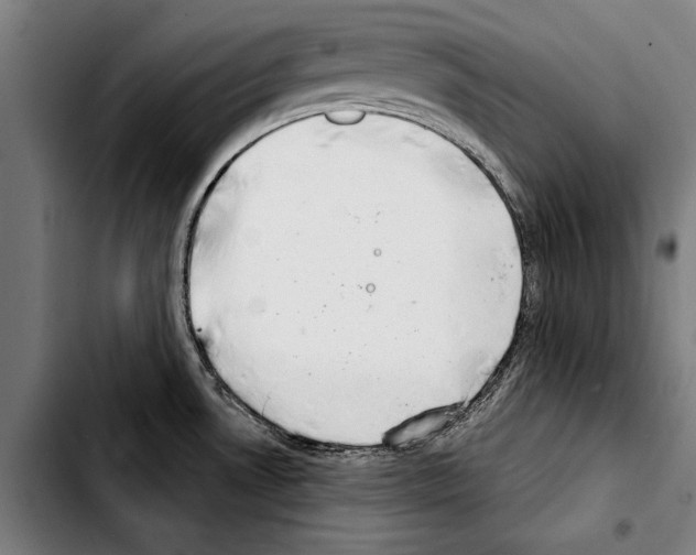 X0000103401530200810240959