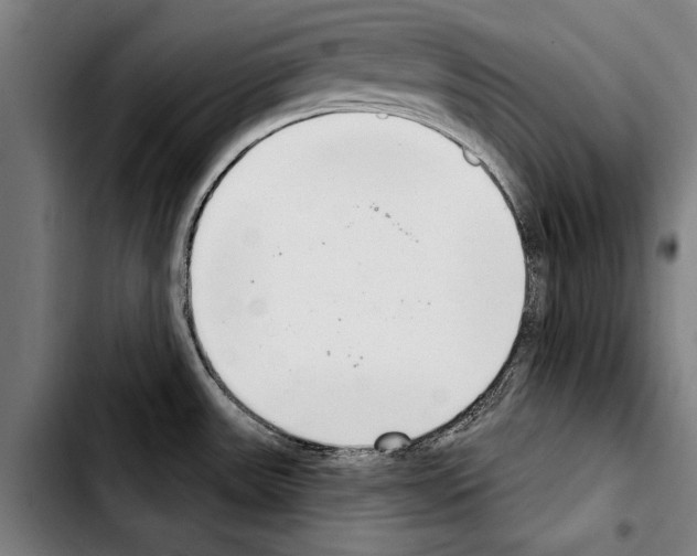 X0000103401531200810240959