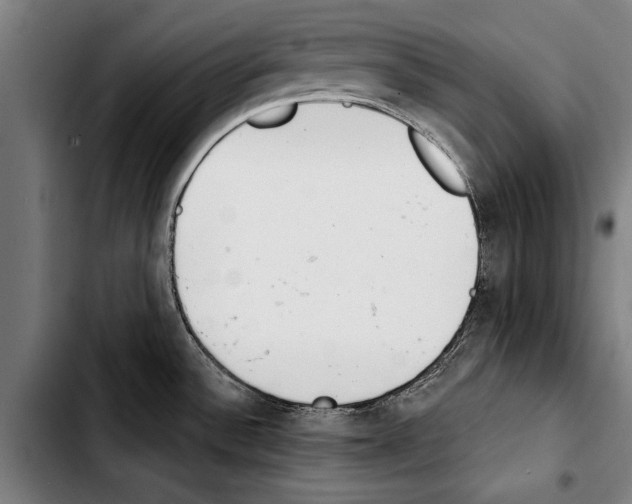 X0000103401532200810240959