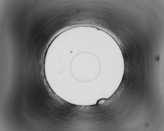 X0000103401534200810240959