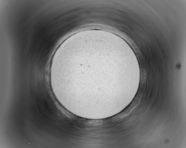 X0000103401535200810240959