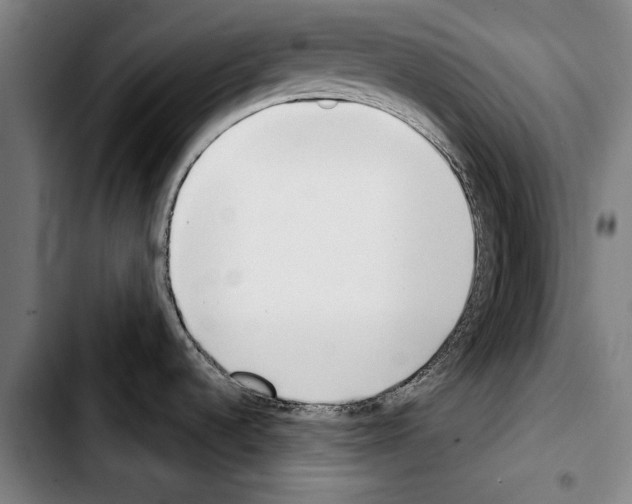 X0000103401536200810240959