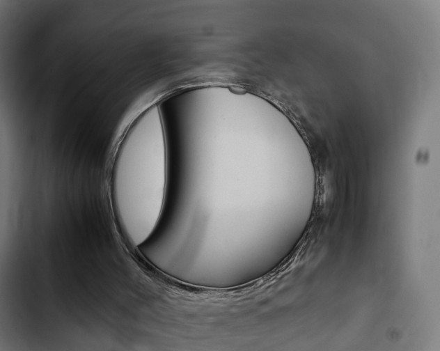X0000103410004200809120959