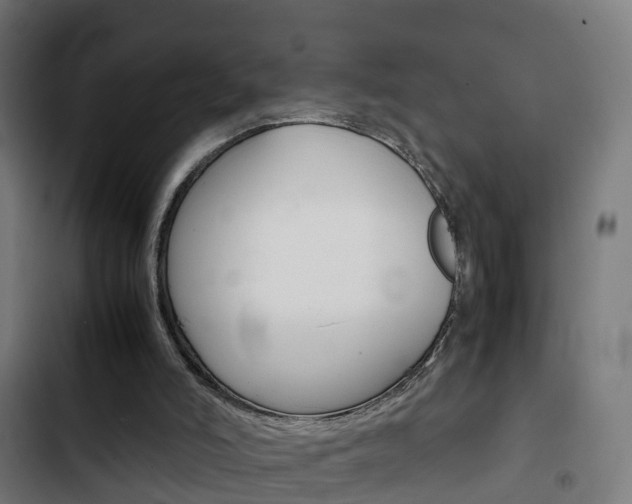 X0000103410006200809120959