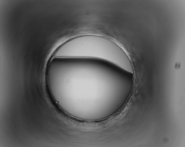X0000103410008200809120959