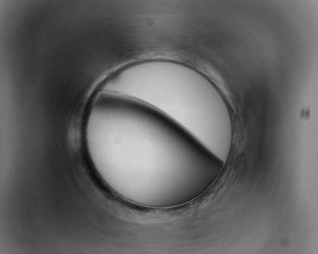 X0000103410012200809120959