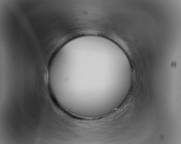 X0000103410013200809120959