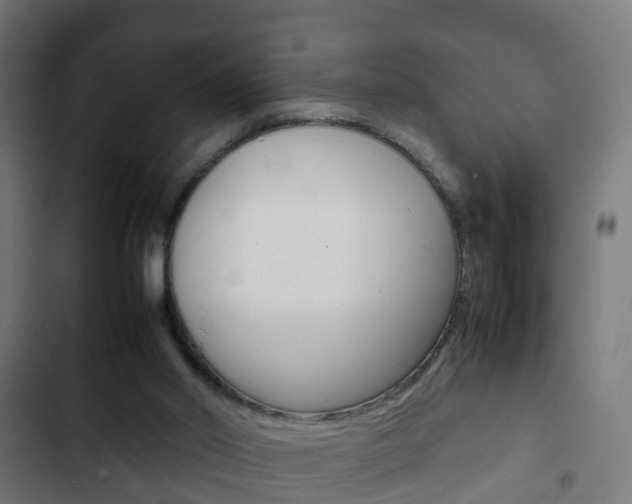 X0000103410014200809120959