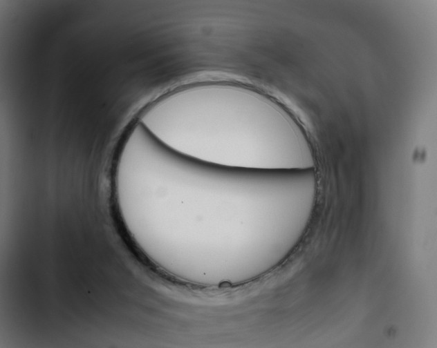 X0000103410015200809120959