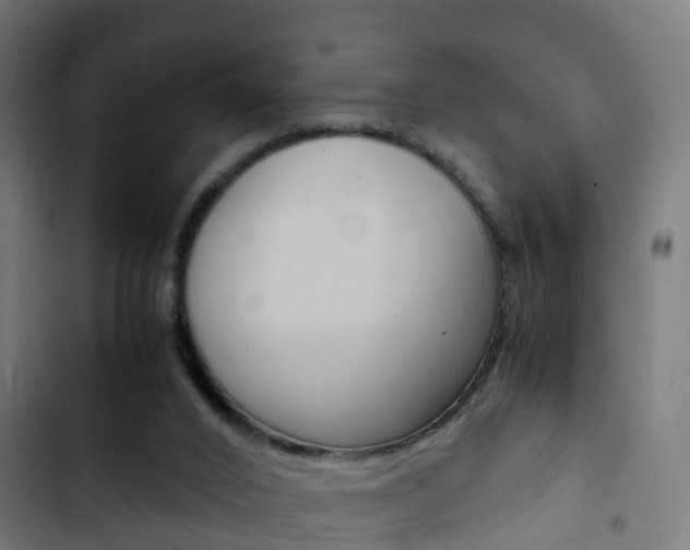 X0000103410016200809120959