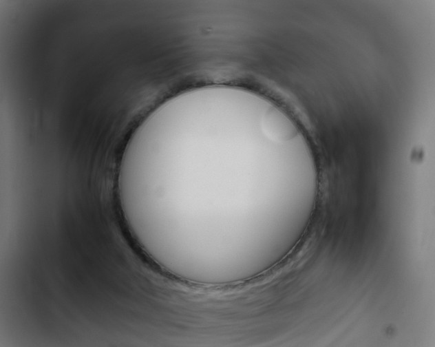 X0000103410018200809120959