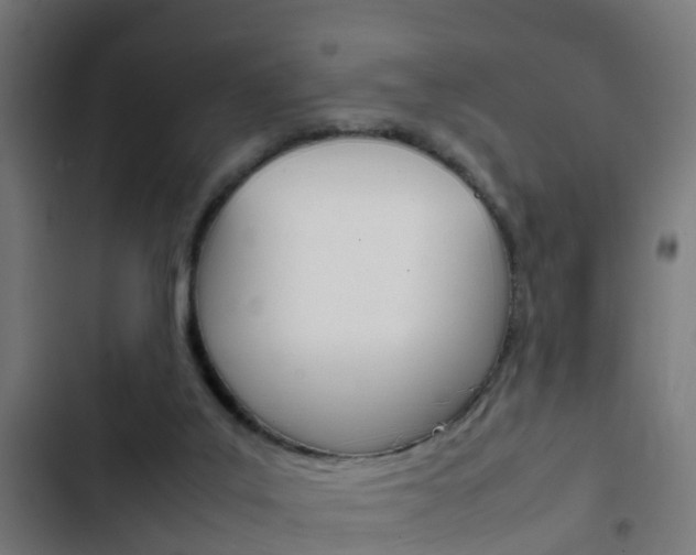 X0000103410019200809120959