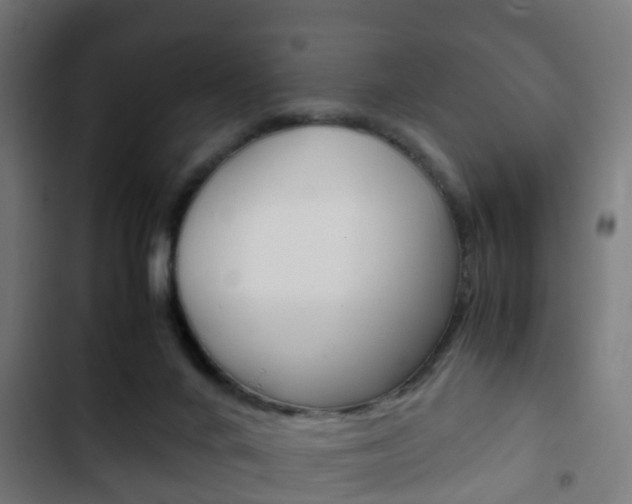X0000103410024200809120959