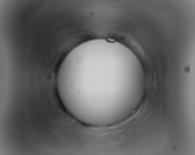 X0000103410029200809120959