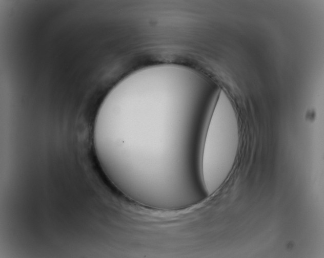X0000103410031200809120959