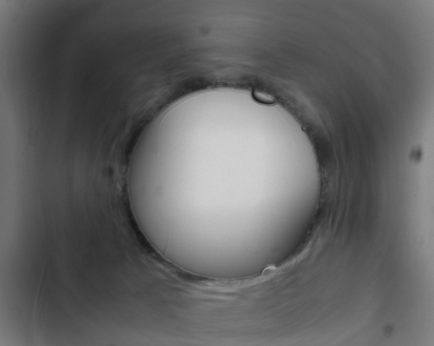 X0000103410033200809120959