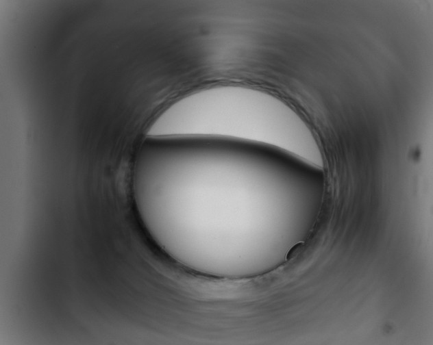 X0000103410036200809120959