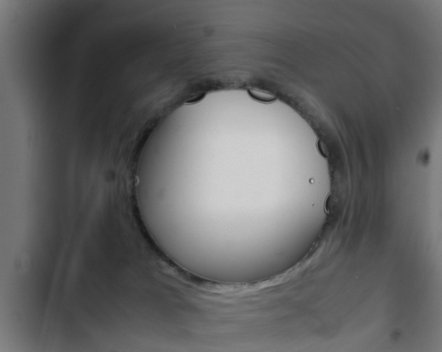 X0000103410037200809120959