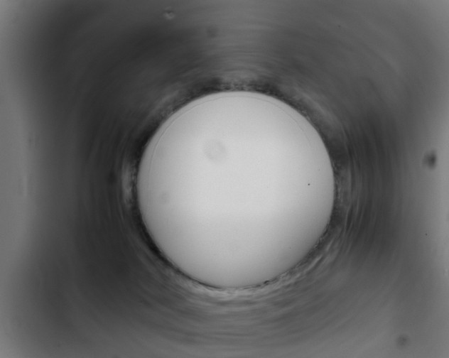 X0000103410038200809120959