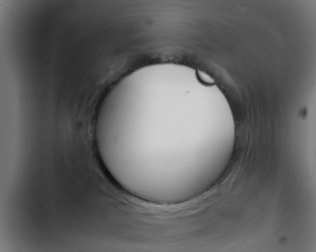 X0000103410039200809120959