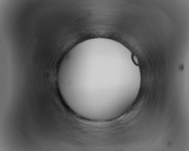 X0000103410040200809120959