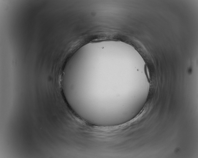 X0000103410045200809120959