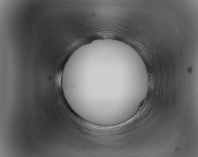 X0000103410047200809120959
