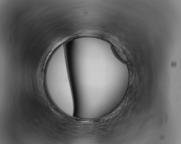 X0000103410050200809120958