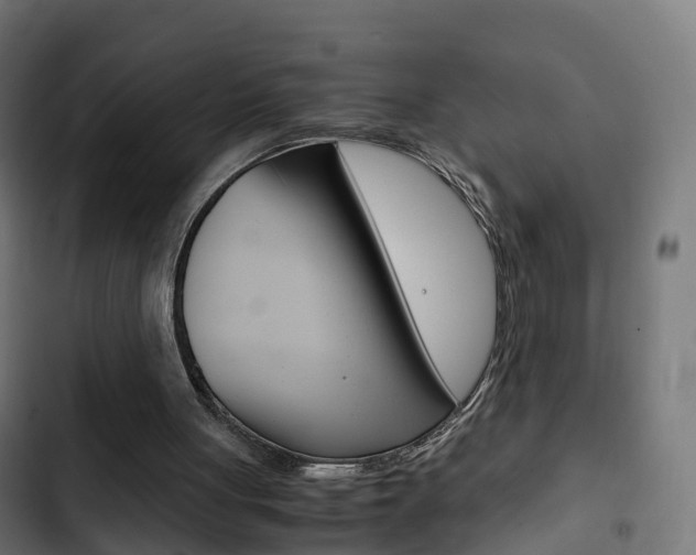 X0000103410051200809120958