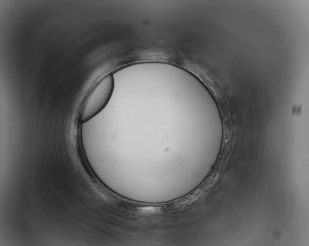 X0000103410053200809120958