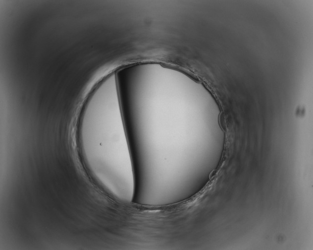 X0000103410054200809120958