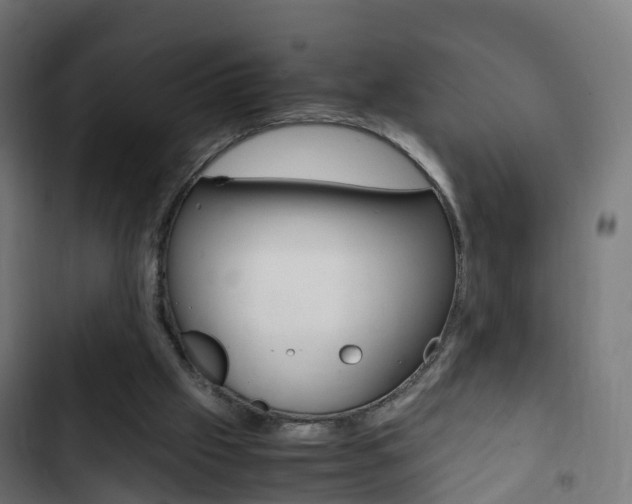 X0000103410057200809120958