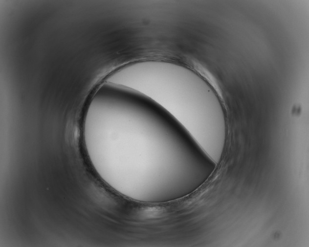 X0000103410059200809120958