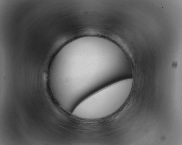 X0000103410063200809120958