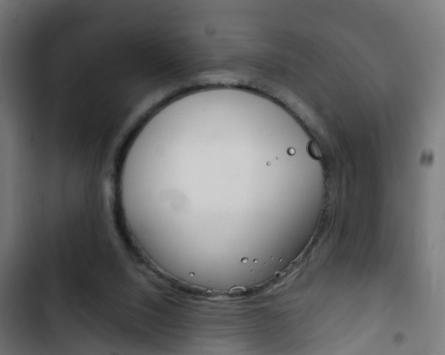 X0000103410064200809120958